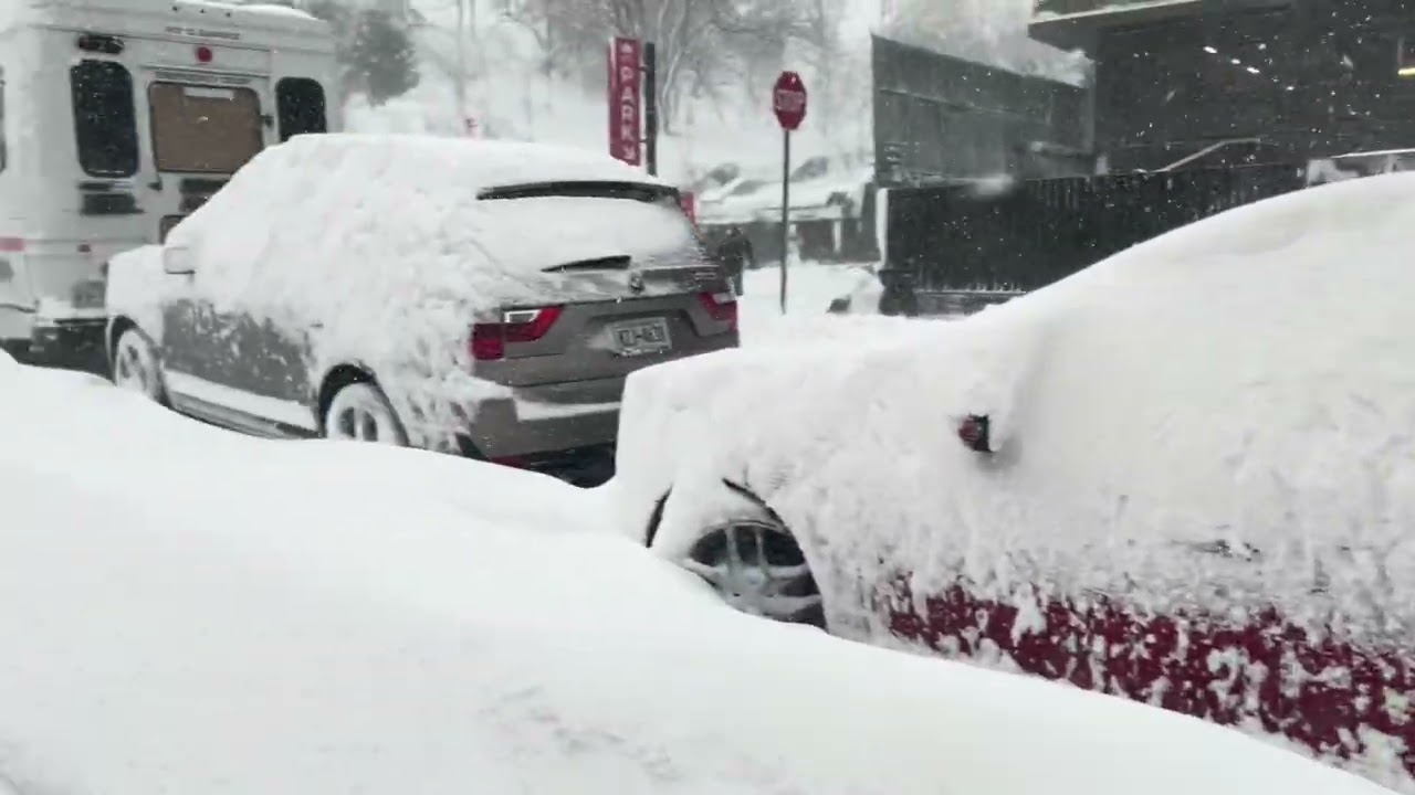 纽约这场暴风雪，越看越精彩！（NYC Historic Blizzard)
