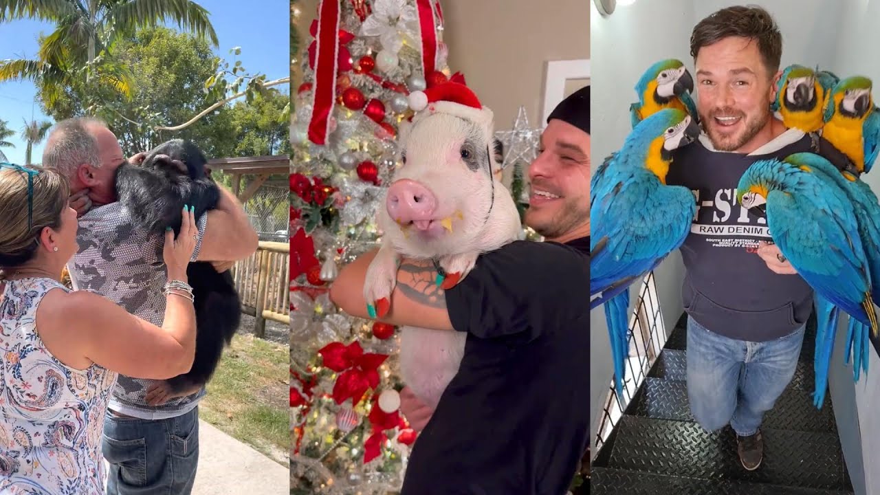 Reunion and warmth#lovestory #animals #wildliferescue #wildlife #cute #rescue #love #funny #reunion