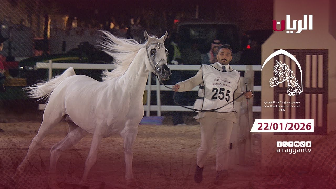 مهرجان سوق واقف للفروسية 22-01-2026