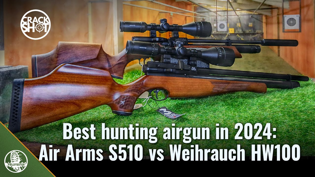 Air Arms S510 против Weihrauch HW100