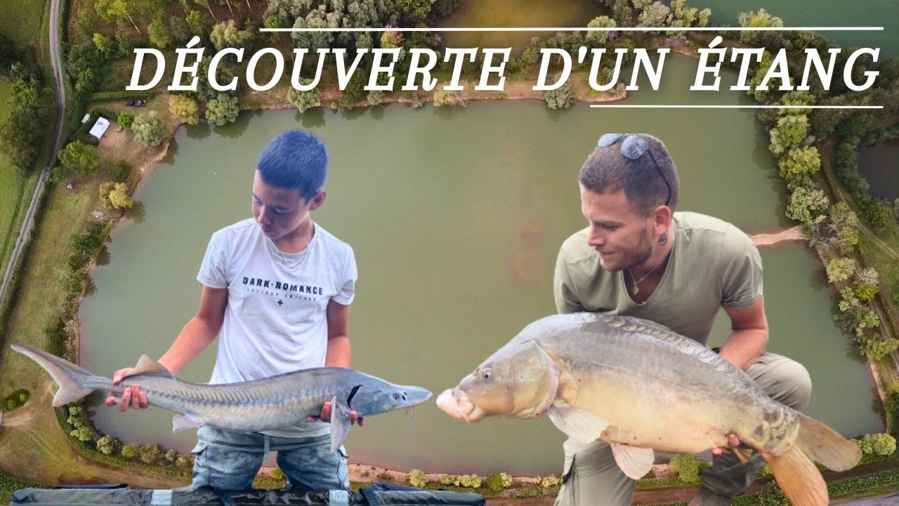 Découverte d'un étang privé ***Pêche de la carpe***