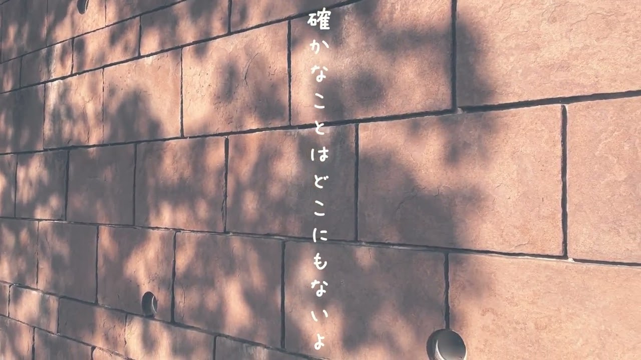 aoco.『晩秋』