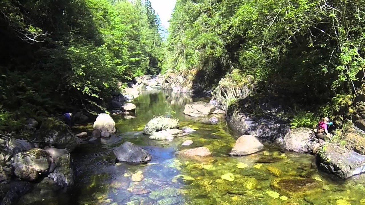 VIPMA Digging for gold near Victoria BC