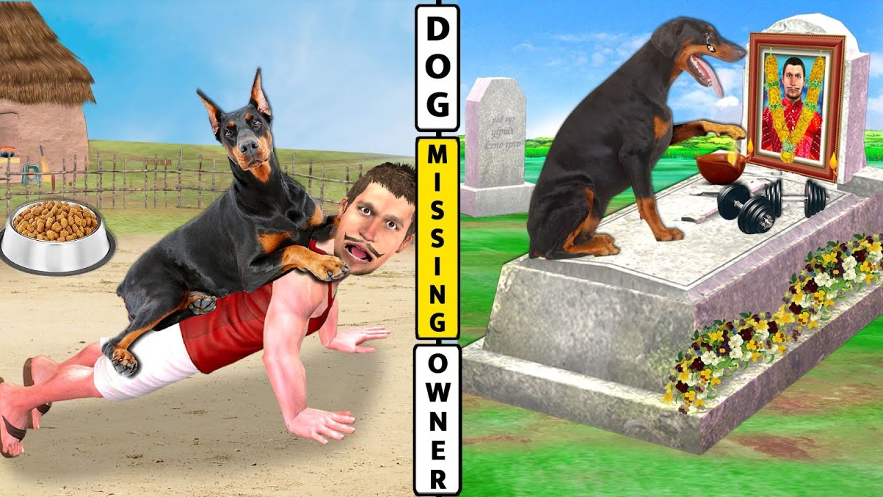 Dog Missing Owner Village Dog Pehalwan Owner Hindi Kahani Hindi Moral Stories New Funny Comedy Video