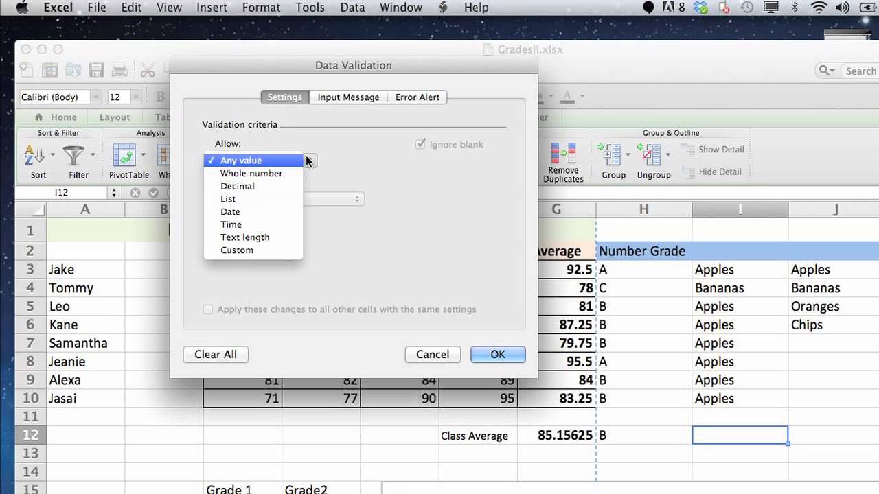 How to Restrict the Types of Entries in an Excel Spreadsheet : Excelling at Microsoft Excel