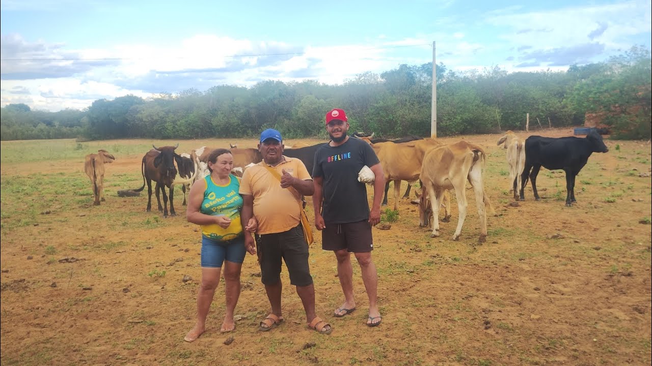Visitando a criação de gado do meu amigo Cacau