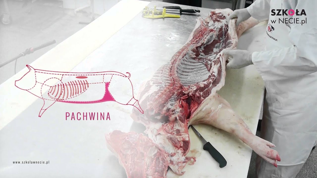Rozbiór półtuszy wieprzowej - podział na elementy zasadnicze (fragment szkolenia).