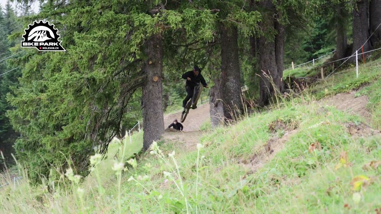 D&eacute;couvrez le Bike Park du Mol&eacute;son et ses pistes en pleine nature