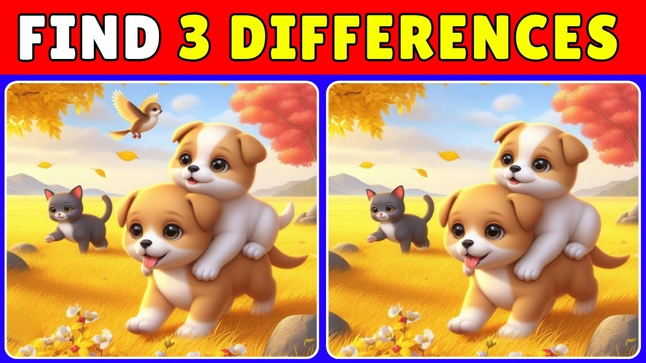 Let's Tes Your Eye Sharpness!! 🤯 | Find 3 Differences FOCUSED