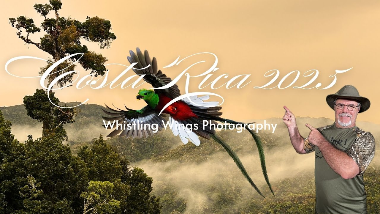 The Canon R5 Mk. II and R1 in Costa Rica - Bird Photography Tour Showcase 2025