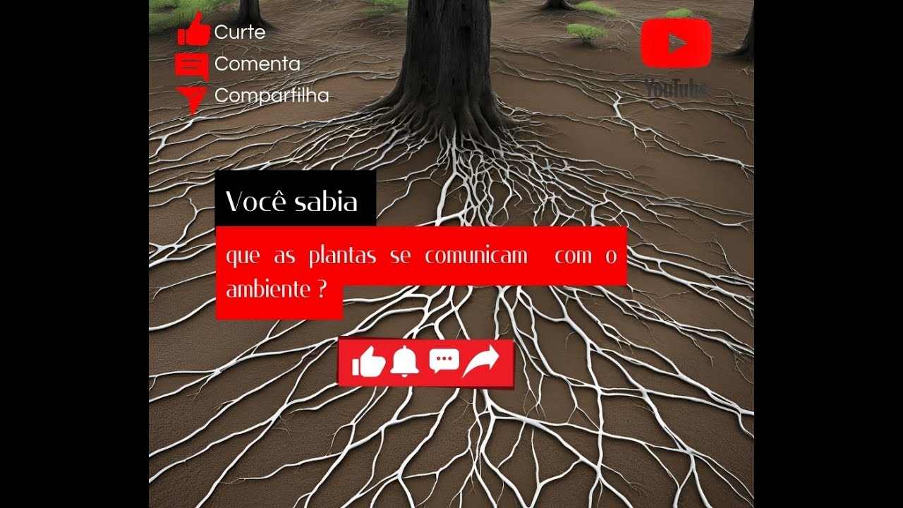 COMUNICAÇÃO ENTRE PLANTAS E MICORRIZAS