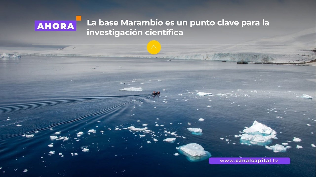 Expedición Antártica: misión científica avanza desde la base Marambio | Actualidad