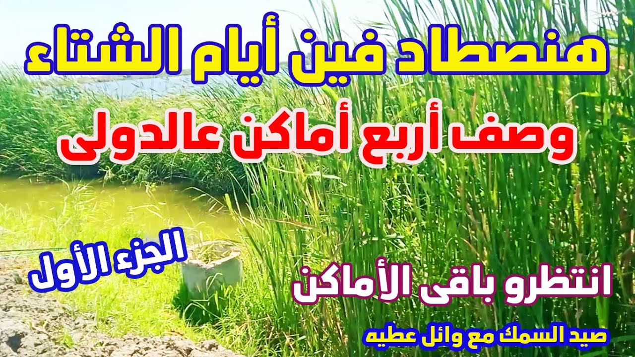 هنصطاد فين أيام الشتاء ووصف أربع أماكن صيد سمك عالدولى كفر الشيخ#fishing