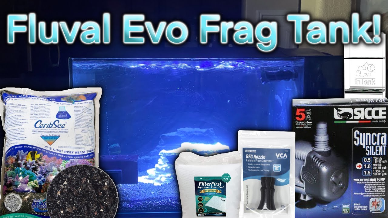 Setting Up a Fluval Evo 13.5Gal as a Frag Tank