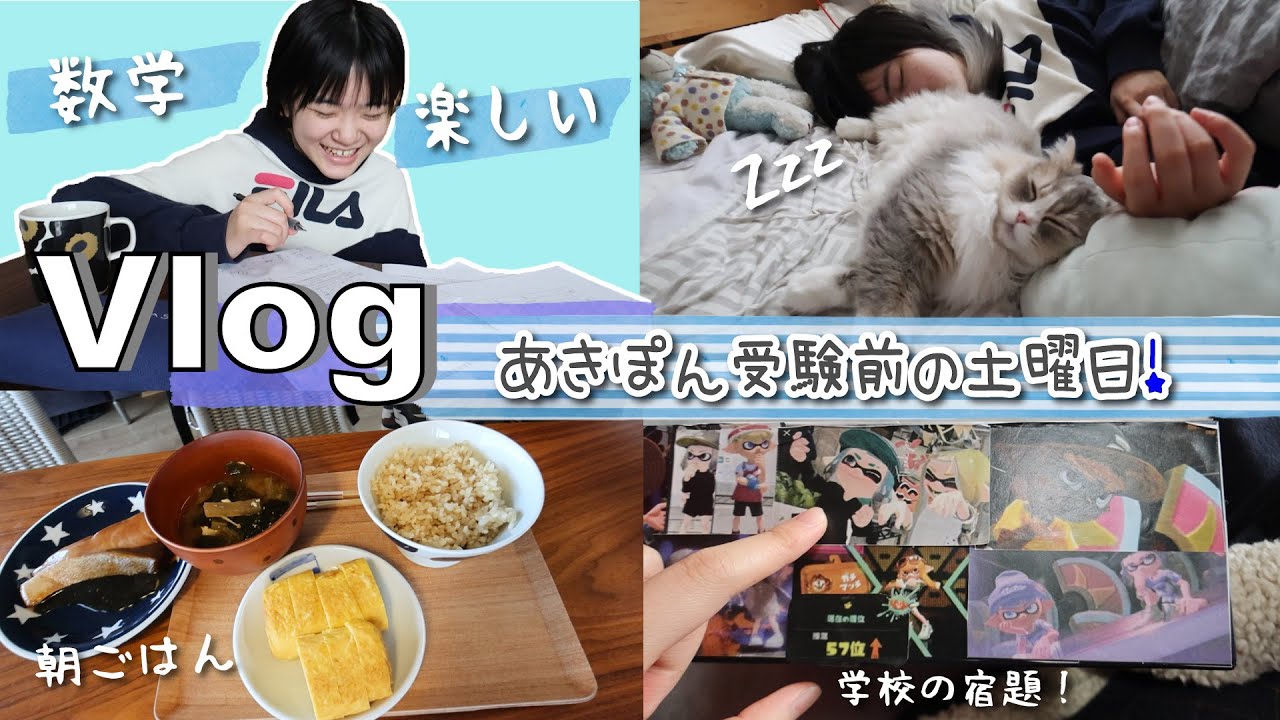 ★Vlog★あきぽん受験まであと１０日！の土曜日の１日