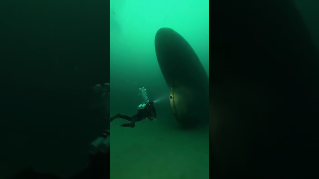 #DeepSea