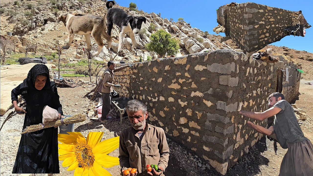 The power of tribal unity: building kitchen walls for greater security