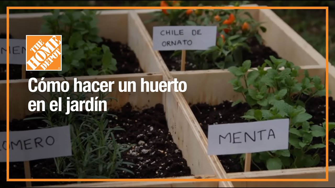 &iquest;C&oacute;mo hacer un huerto en el jard&iacute;n?