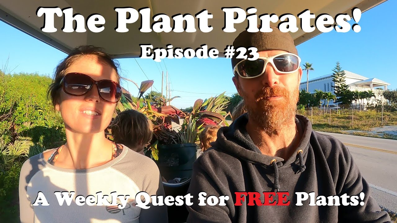 Finding FREE Plants Every Week! | The Plant Pirates Episode #23