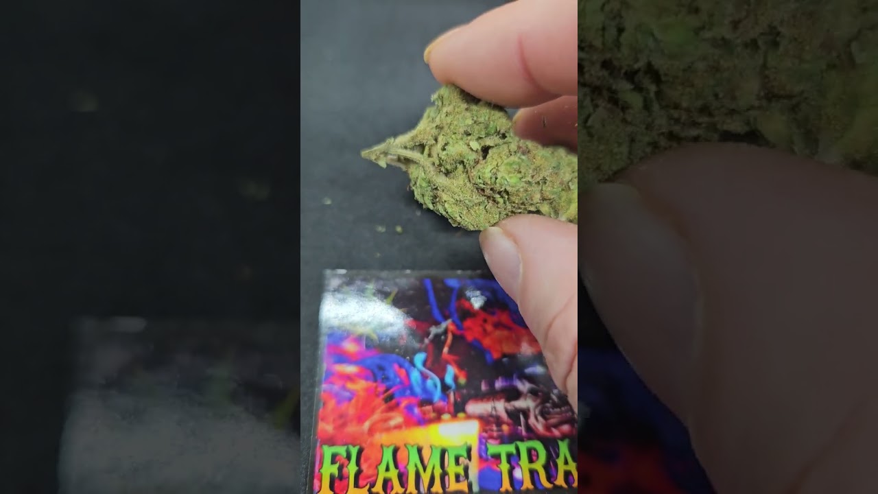 White truffle THCA flower closeups #cbdproducts #foryou #420community #giveaway #viral