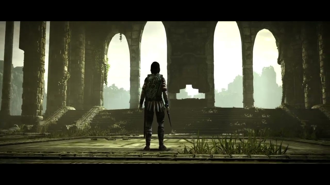 SHADOW OF THE COLOSSUS_20260217051658