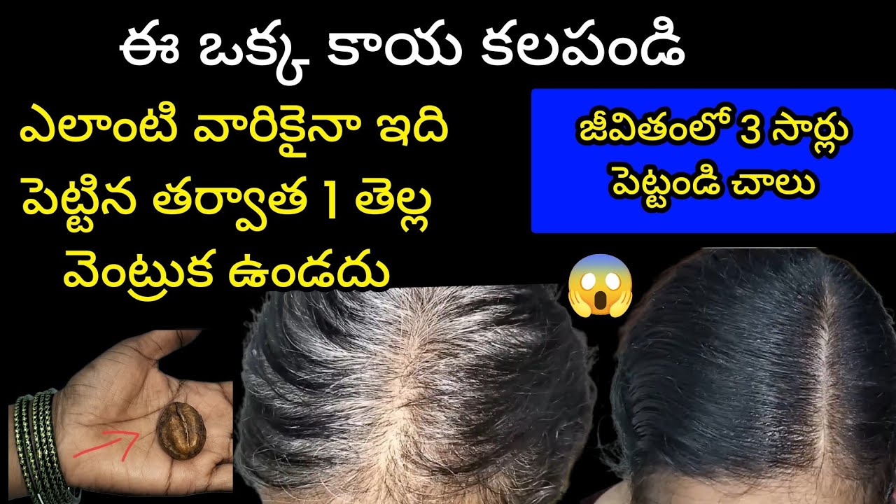 😱 తెల్ల జుట్టు నల్లగా మారుతుంది 1సారికే షాక్ ఇచ్చే ఫలితం || How To Trun white hair @SiriChannel2013