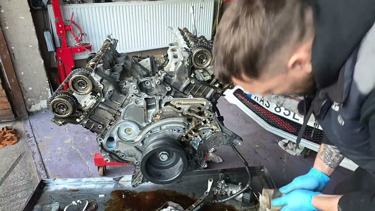 dögvész szerviz élőben közvetít!