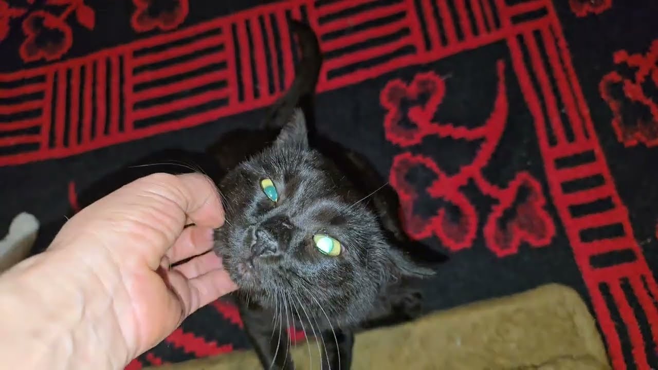 Немного  позетива