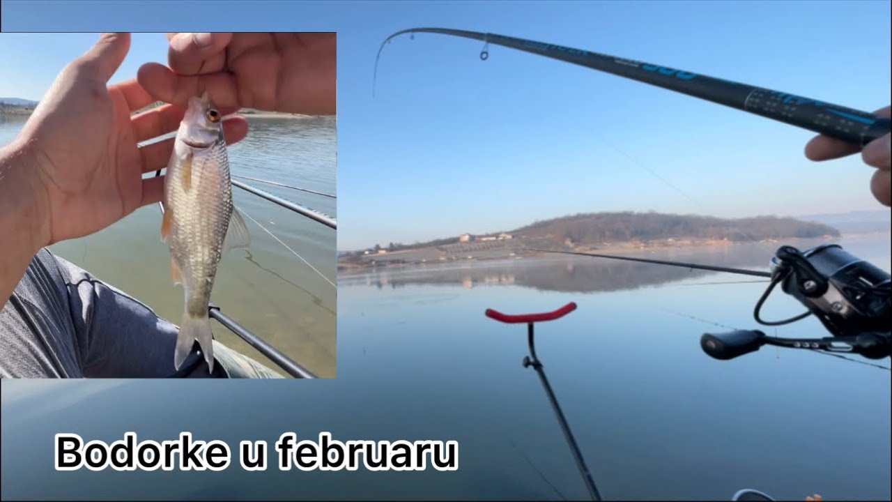 Pecanje bodorke na plovak