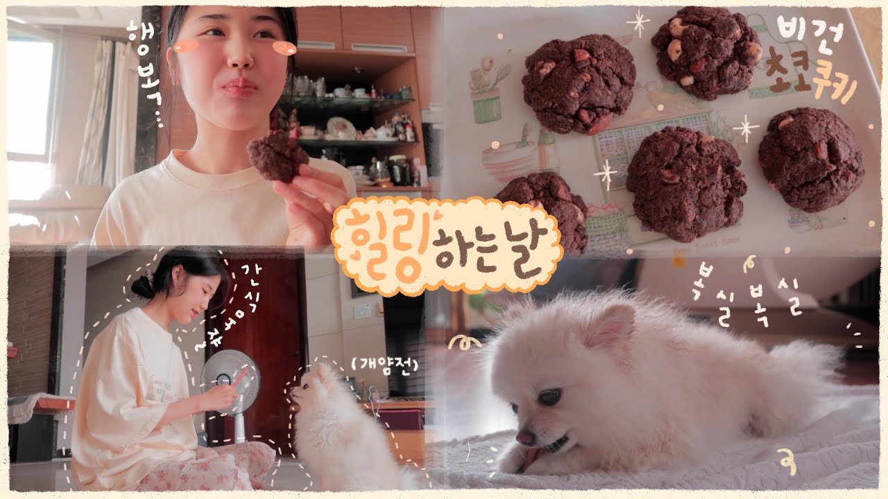 🍪 새오븐으로 첫비건베이킹 도전과 먹방 + 꿍이랑 뽀짝뽀짝 힐링하는 브이로그 🐶