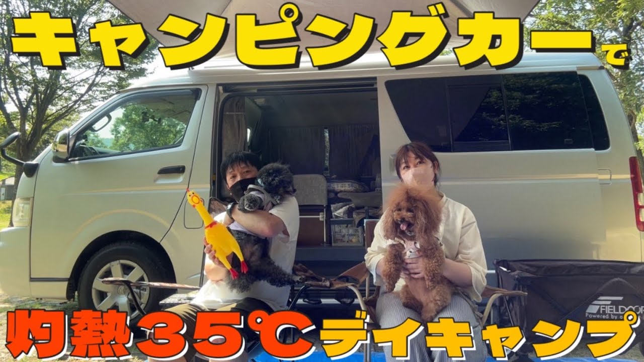 【キャンプ 初心者】ハイエースのキャンピングカーでデイキャンプに行きました！＃菰沢公園オートキャンプ場 #ハイエース  ＃キャンピングカー