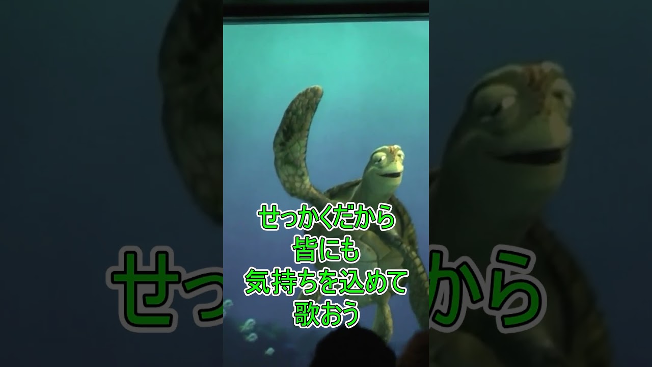 🎂6人に一人は誕生日【タートルトーク】東京ディズニーシー