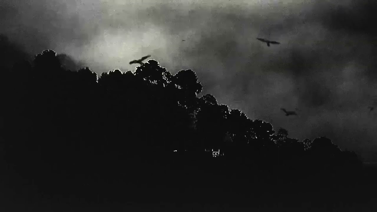 Sever Red - Conjuring (Visualizer)