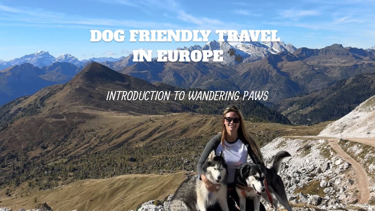 Dog friendly travel in Europe | Wandering Paws Introduction 🐾🫶