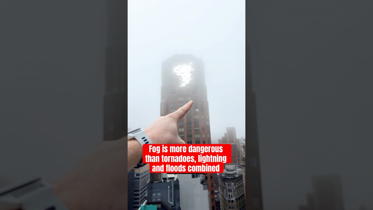 Fog is more dangerous than tornadoes, lightning and floods combined.