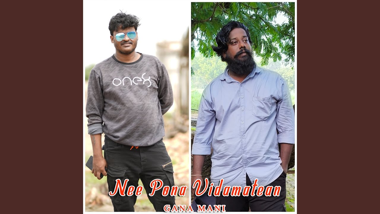 Nee Pona Vidamatean