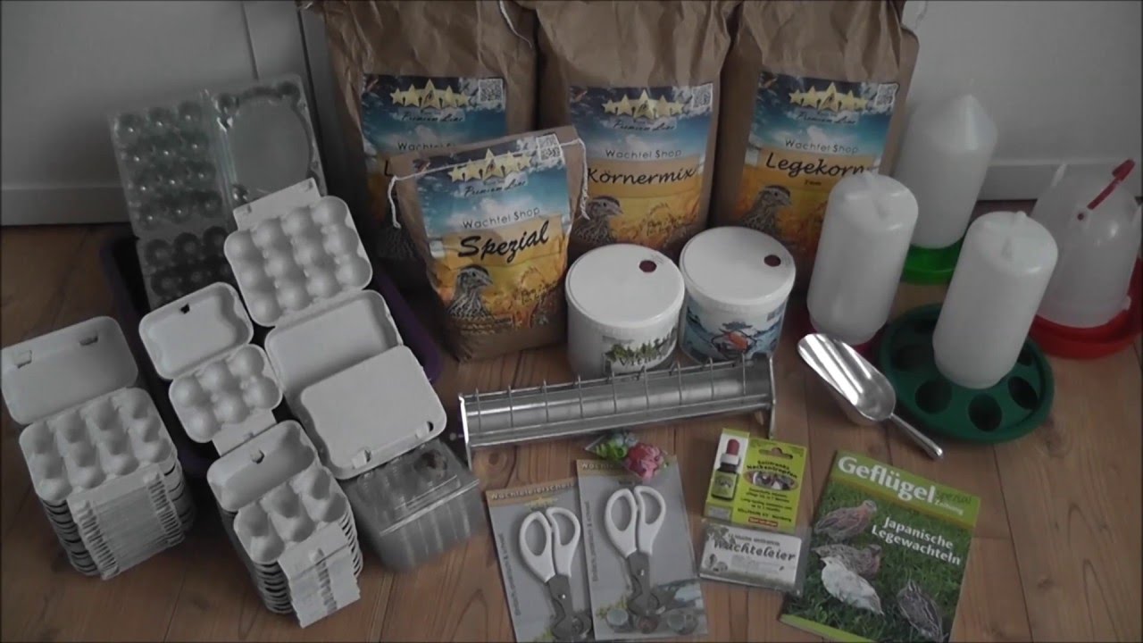 Haul  Einkauf im Wachtel Shop