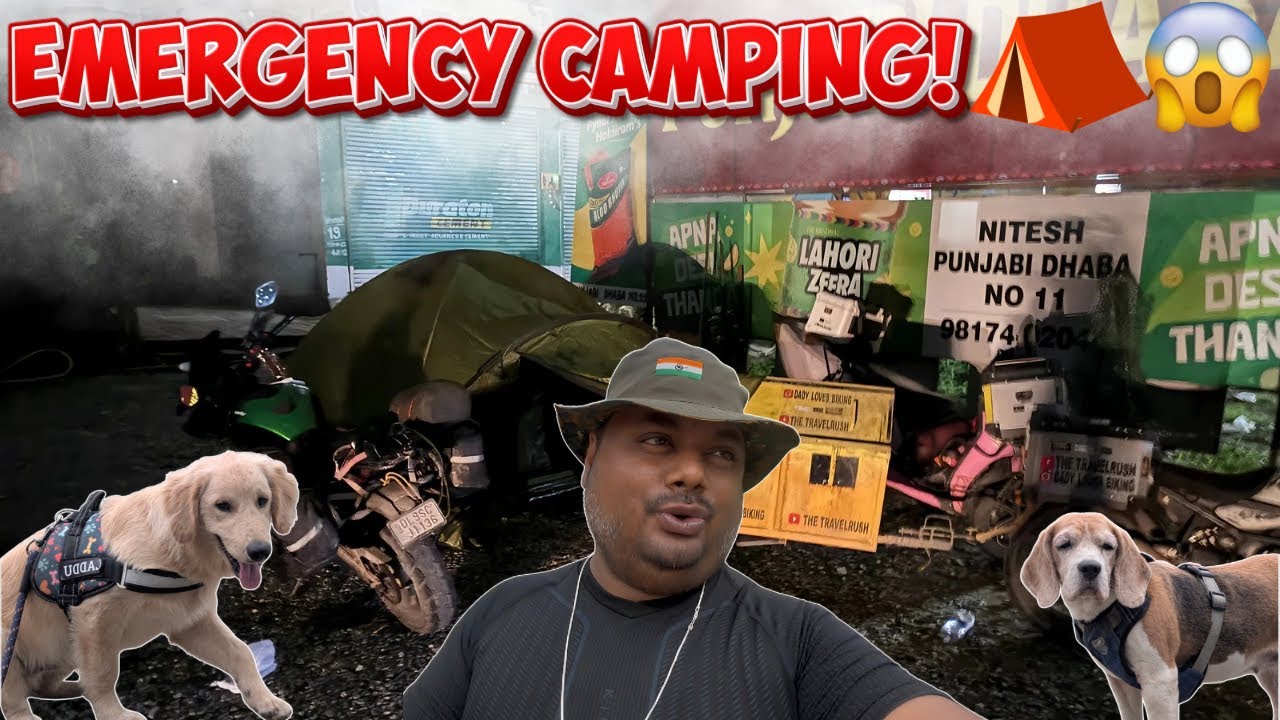 Ep.3 EMERGENCY Roadside Camping in Kullu 😱 | Bike Ride with Dogs | The TravelRush
