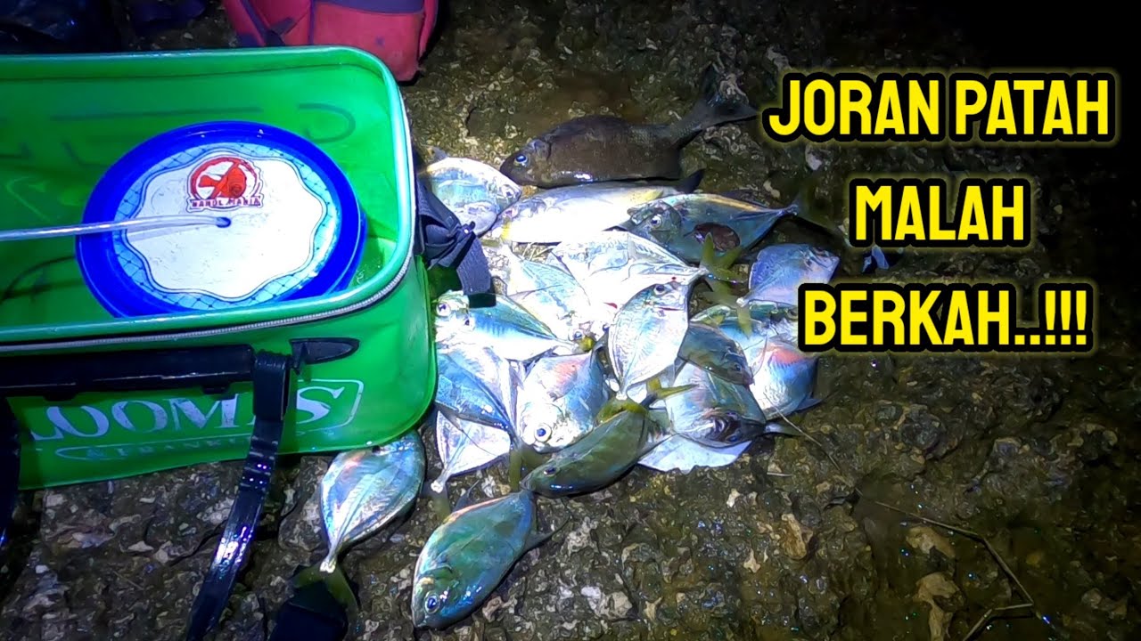 JORAN PATAH MALAH BERKAH‼️ PANEN IKAN ENAK || nahol mania libur mancing ikan red devil
