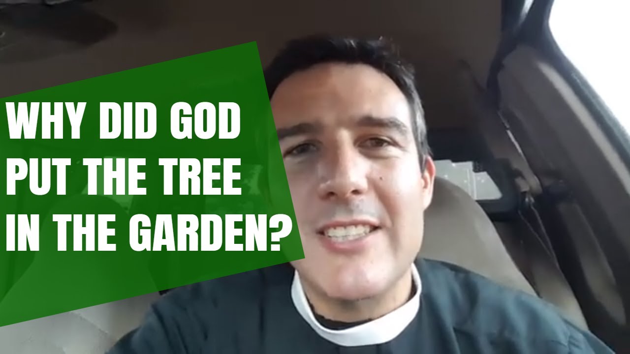 Why did God put the tree of the knowledge of good and evil in the garden? Parking lot dropkick