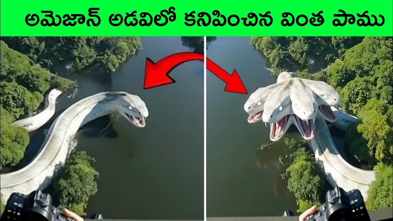 Unsolved mysteries of Amazon forest / strange creatures of amazon forest / facts in telugu