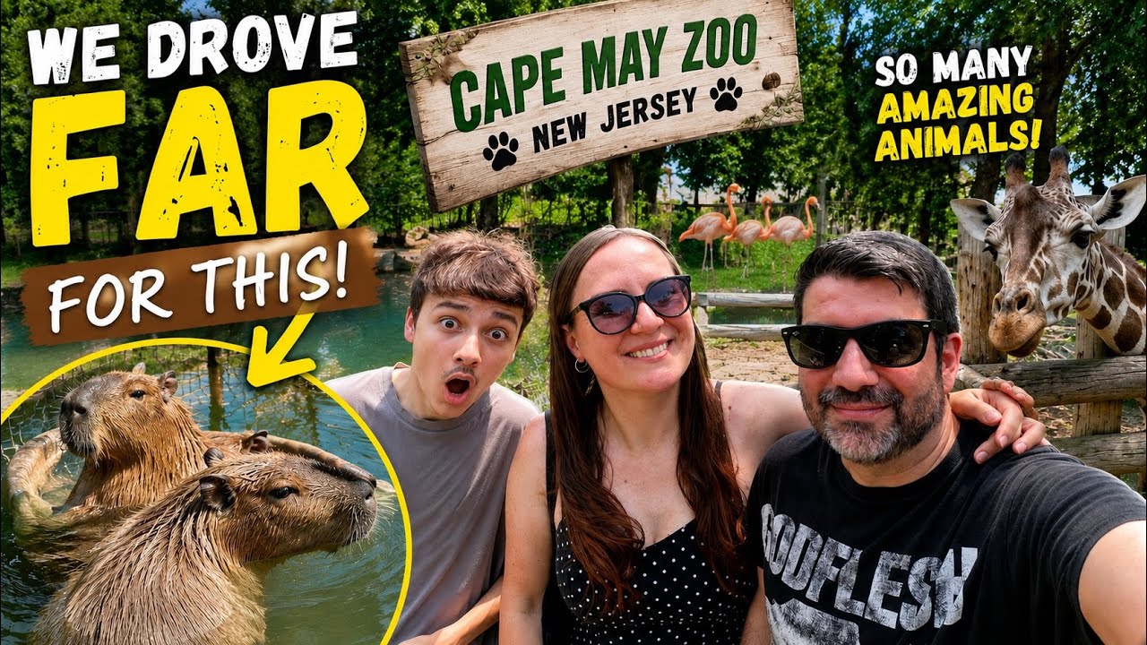 We drove to CAPE MAY ZOO on my Birthday TO MEET CAPYBARAS!