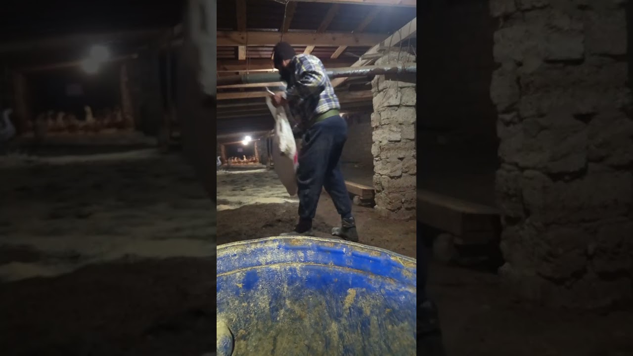  Quşçülüq haqqında Dəyərli nəsihət 