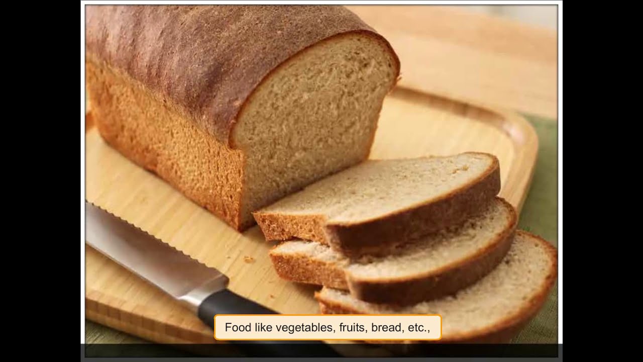 Perishable and Non-Perishable Food | Environmental Studies Class 5