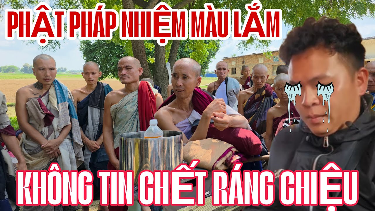 SÁM HỐI CŨNG MUỘN RỒI Phật Pháp quá nhiệm màu