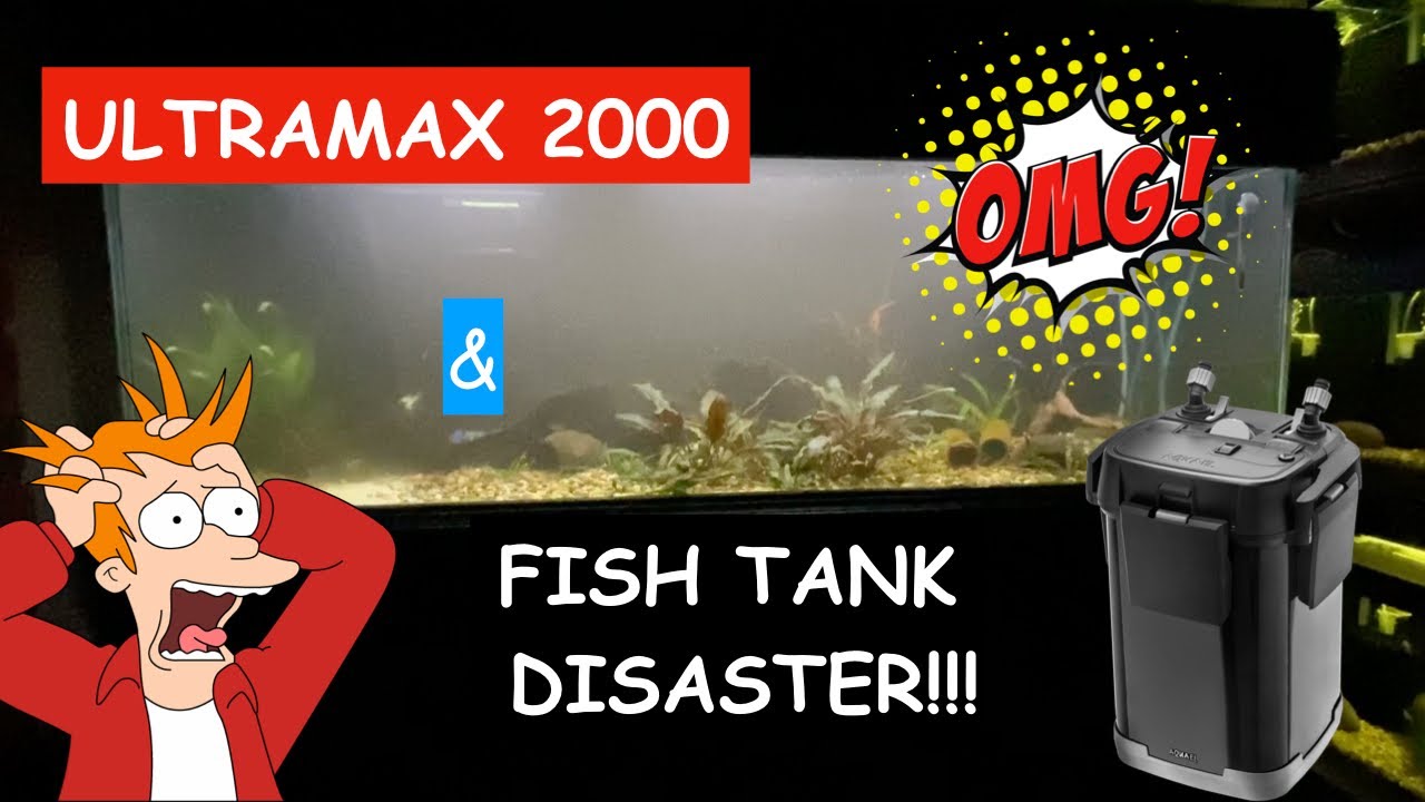 ULTRAMAX 2000 Cleaning prefilter 3 and fish tank disaster