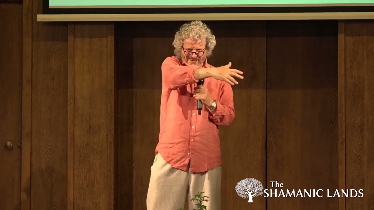 SINGER SHAMAN SAGE: AN INTRODUCTION TO MODERN DRUIDRY