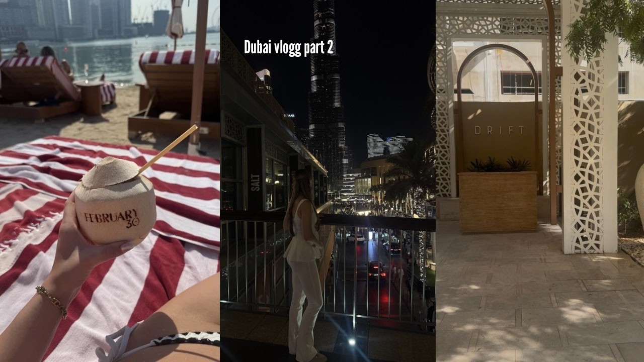 a few days in dubai part 2  (Carting, beach clubs, miracle garden)