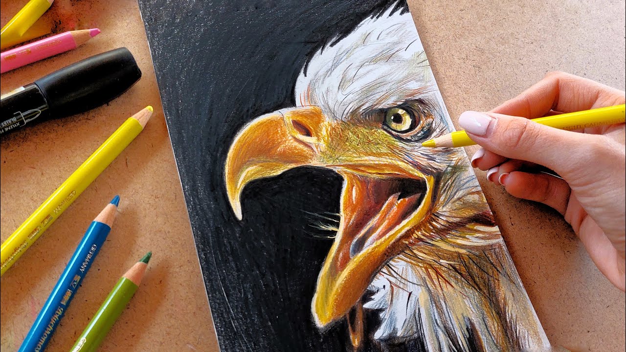 Drawing Eagle So Realistic... 😱 | How to draw Eagle | Speed Drawing