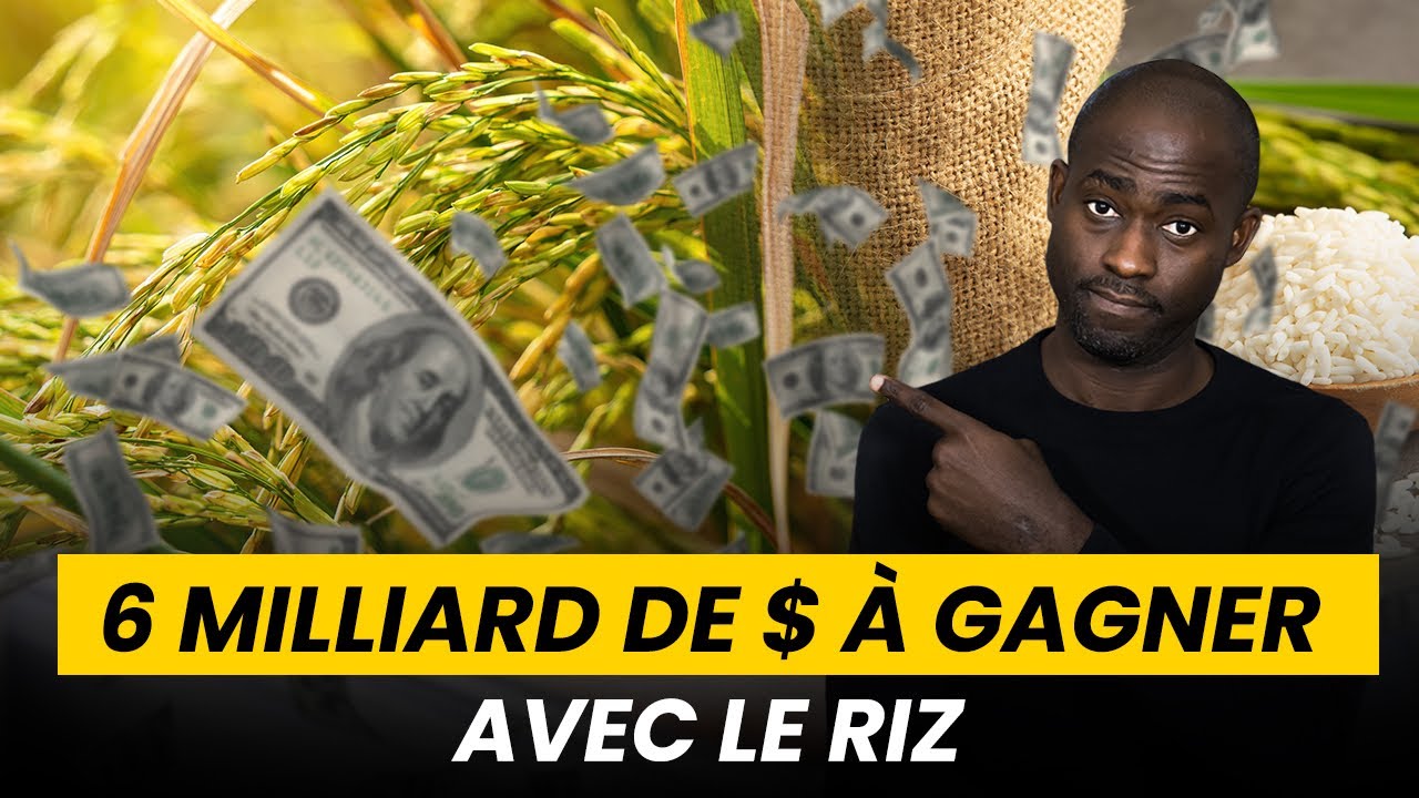 C’est le moment d’investir dans le Riz : 6 milliards à gagner